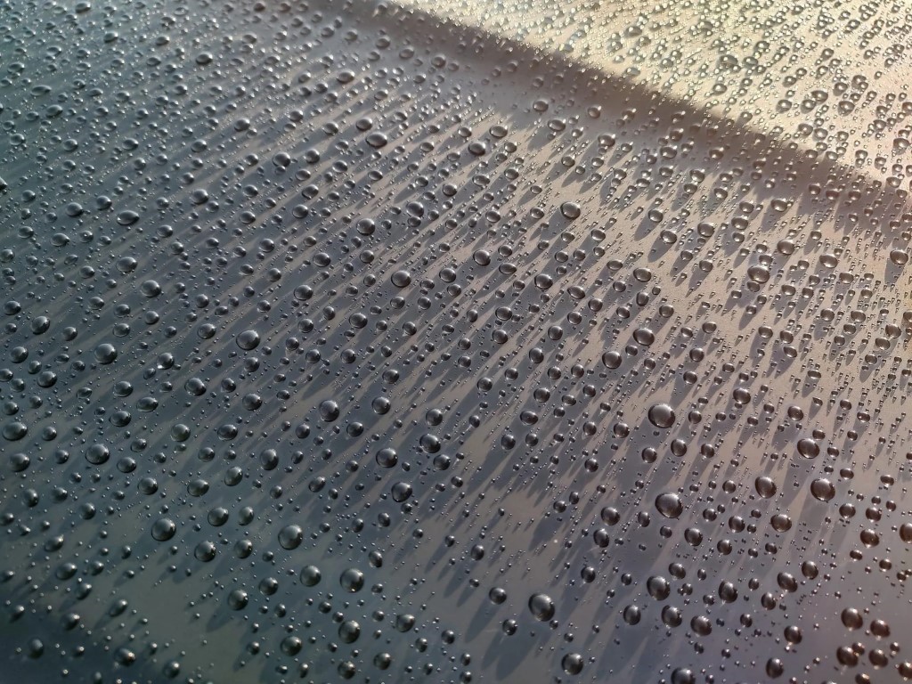 image_7e63e385-4301-4030-90c5-837ed0235127